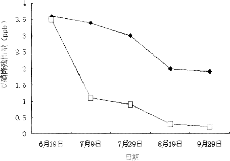 Method for degrading long residual herbicide chlorimuron-ethyl in bean field by adopting biological organic fertilizer