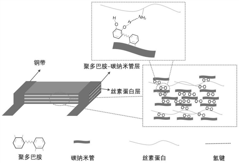 C-SF-FA flexible conductive film based on silk fibroin, wearable wound monitoring sensor and preparation method thereof