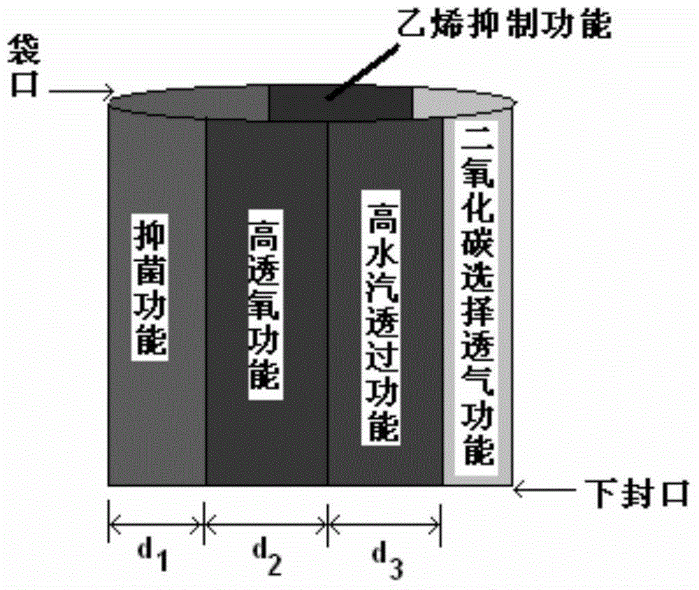 Multifunctional integrated freshness protection package and preparation method thereof