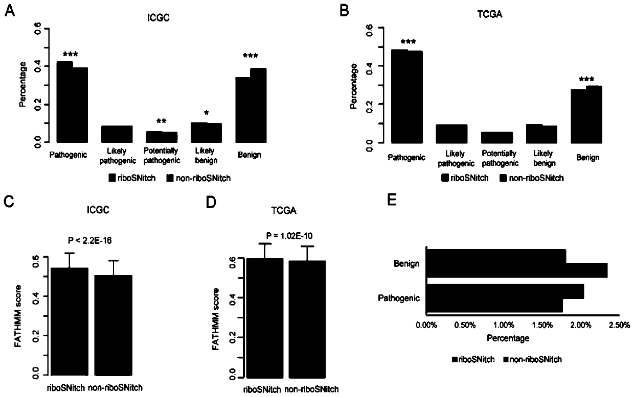 Method for predicting influence degree of mutation on RNA secondary structure based on MeanDiff value and related equipment