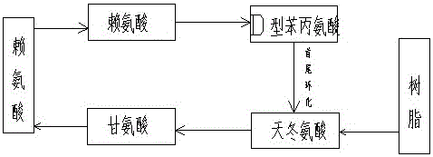 Synthesis and preparation process of rgd cyclic peptide