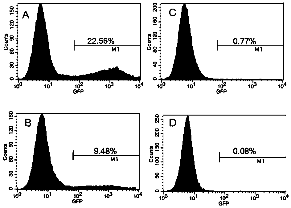 Anti-GOLPH2-lipoplexes liposome carrier as well as preparation and application thereof