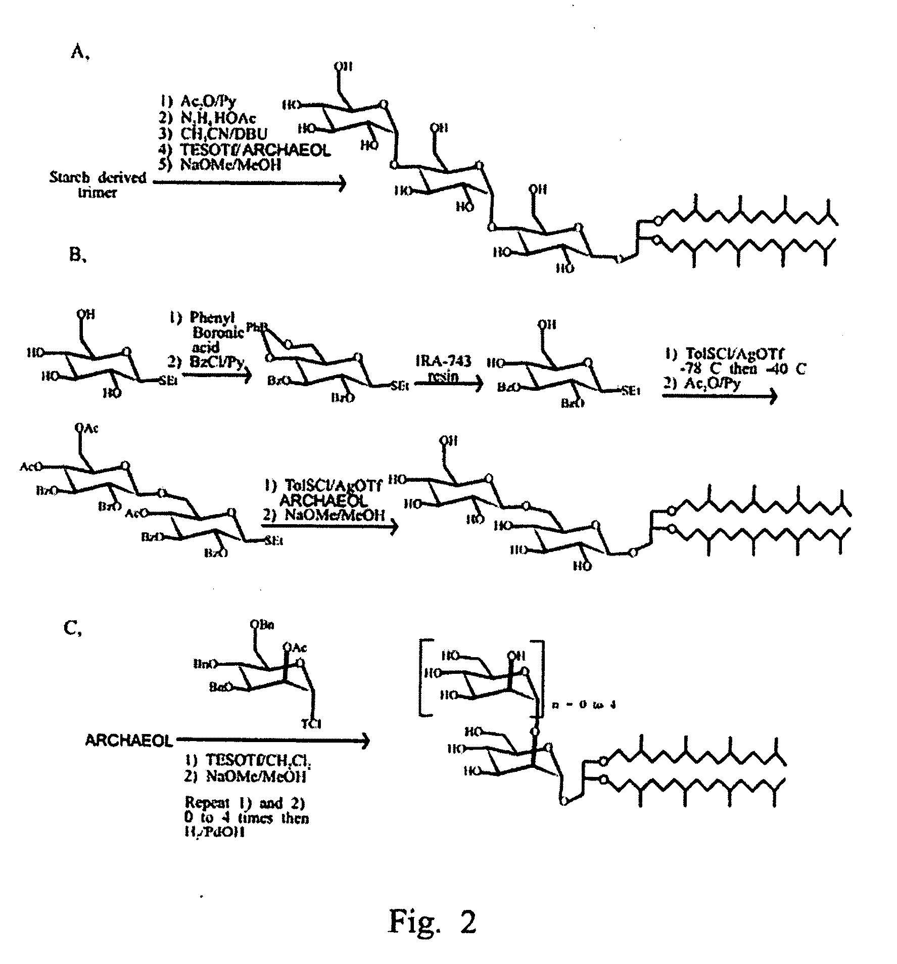 Synthetic Archaeal Glycolipid Adjuvants