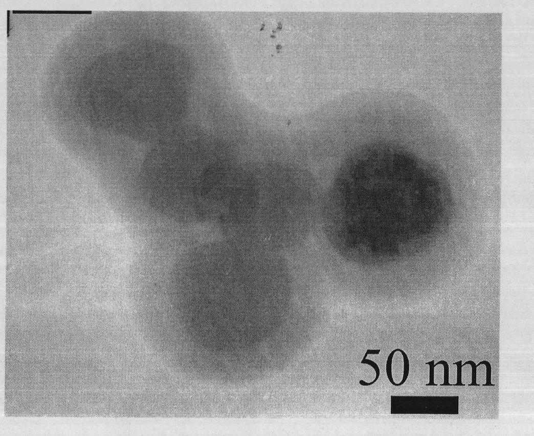 Multifunctional nano-composite having up-conversion luminescence, oxygen sensing and biological connectivity and preparation method thereof