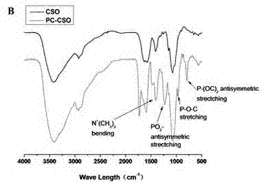 Biomimetic amphiphilic graft copolymer with cell membrane structure and preparation method thereof