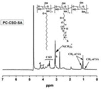 Biomimetic amphiphilic graft copolymer with cell membrane structure and preparation method thereof