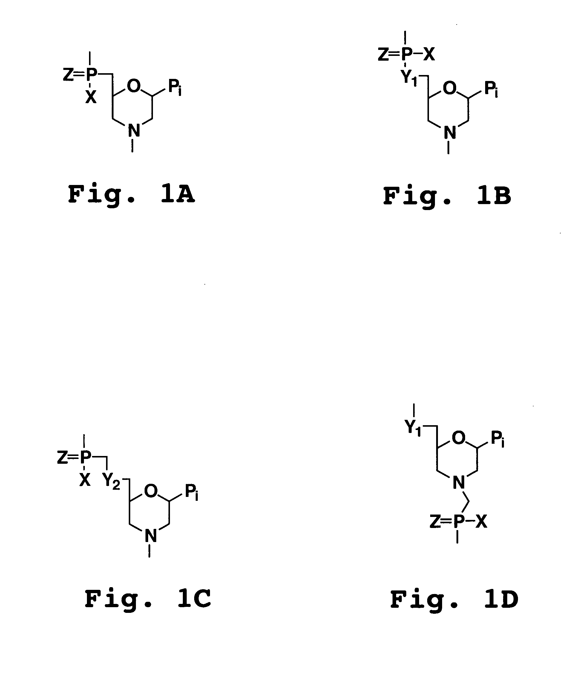 Antisense restenosis composition and method