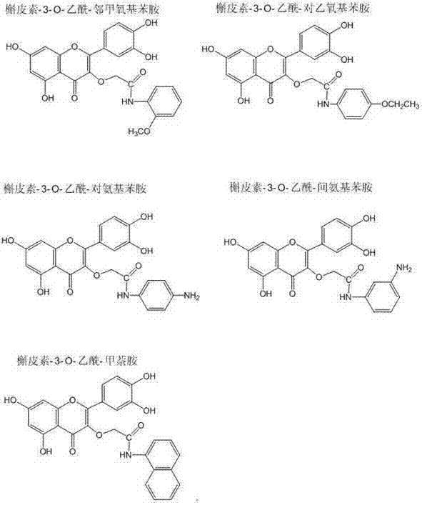 Preparation method and application of quercetin amide derivatives