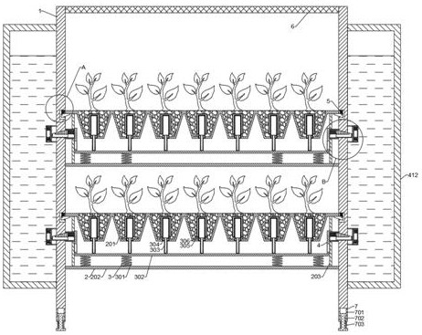 Seedling device for planting jujube trees