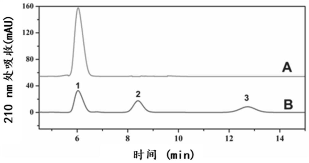 Method for artificially constructing chitin corpuscle multienzyme complex scoford-chiC-chiA-sg and application