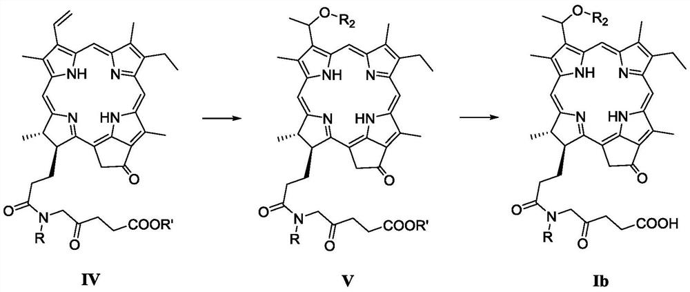 A Novel Pyropheophorbide A Derivative and Its Preparation Method and Application