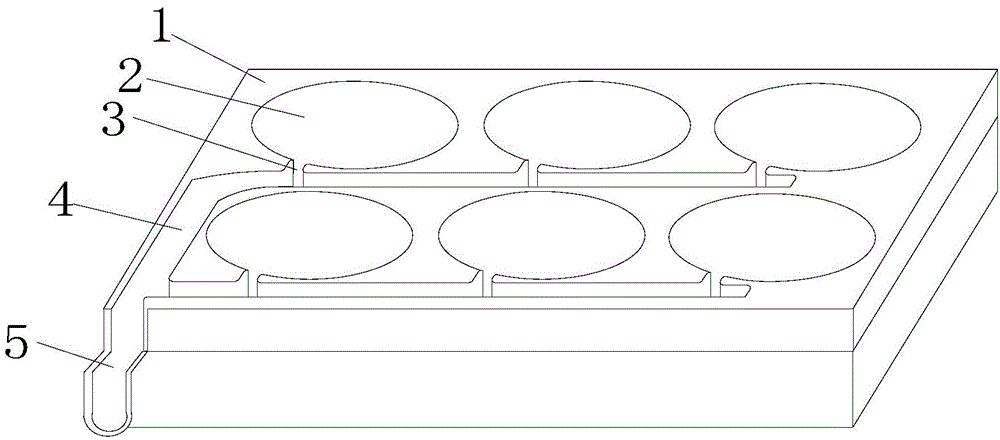 Six-hole plate for cell culture