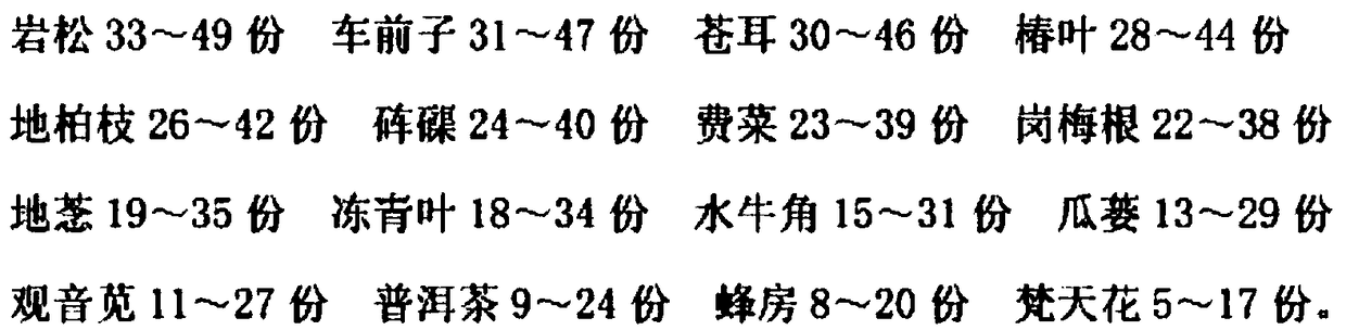 Traditional Chinese medicine preparation for treating viral meningitis and preparation method thereof