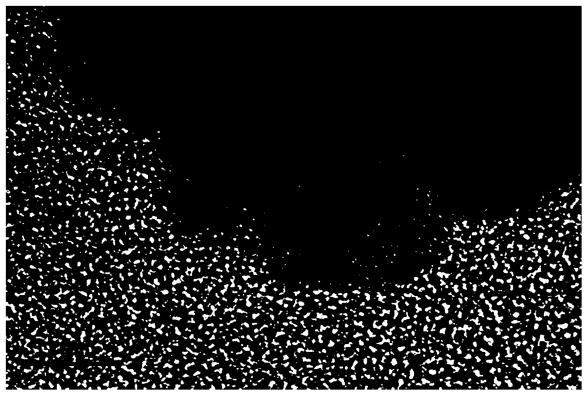 Gold-platinum bimetallic nanoparticles and preparation method thereof