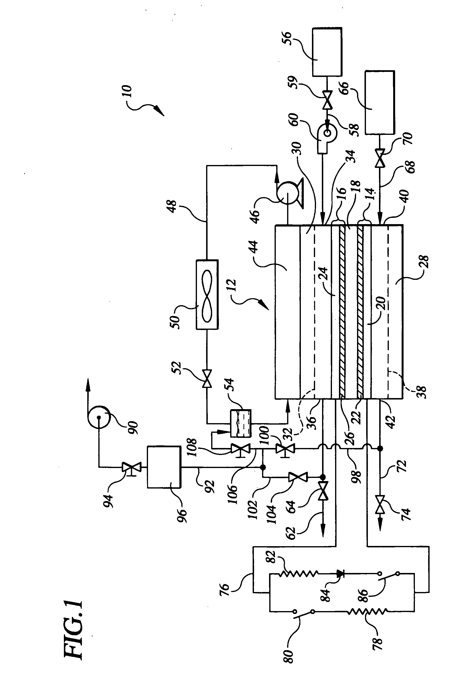 Procedure for starting up a fuel cell using a fuel purge