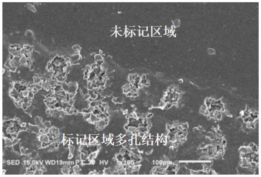 Macromolecule/modified organic montmorillonite laser marking material, and preparation method and antibacterial application thereof