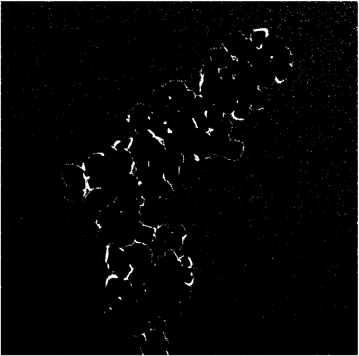 Preparation method of nano alpha-Fe2O3