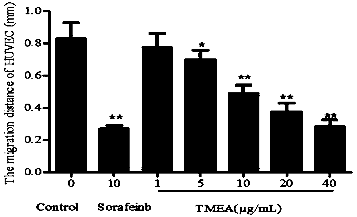 Application of active component of sanguisorba officinalis to preparation of antitumor medicines