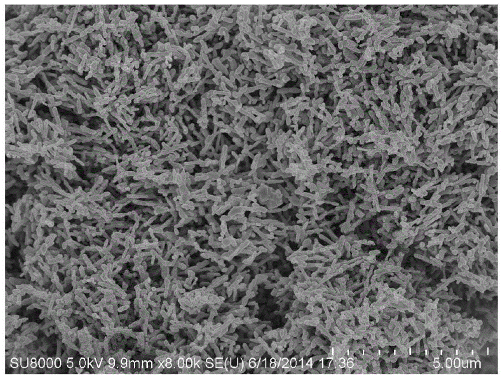 BixCel-xVO4 nanorod with visible-light activity and preparation method