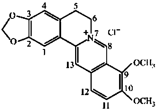 Berberine used in treatment of heart failure or cardiac hypertrophy