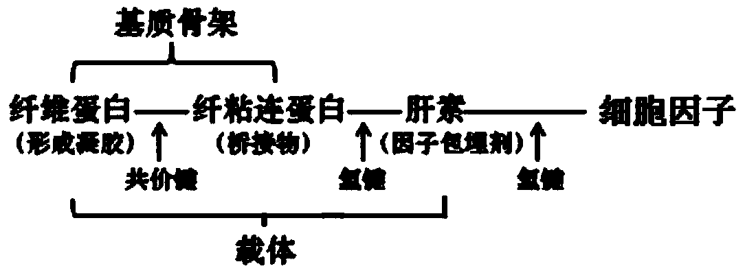 Nerve repairing material and preparation method thereof