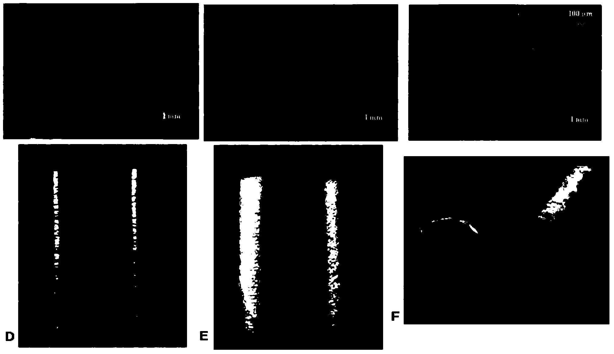 Nerve repairing material and preparation method thereof