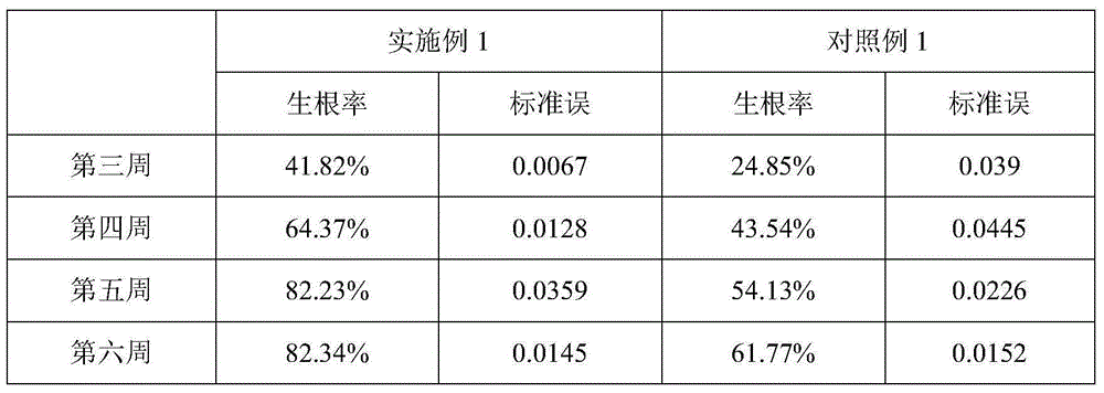 Application of Bacillus licheniformis in promoting rooting or growth of blueberry tissue culture seedlings