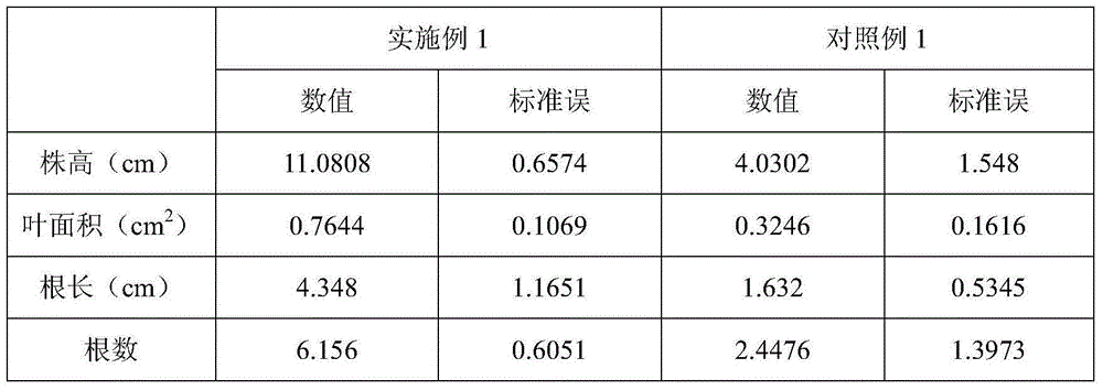 Application of Bacillus licheniformis in promoting rooting or growth of blueberry tissue culture seedlings