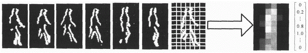 A behavior recognition method based on action subspace and weighted behavior recognition model