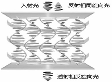 OLED display panel and display