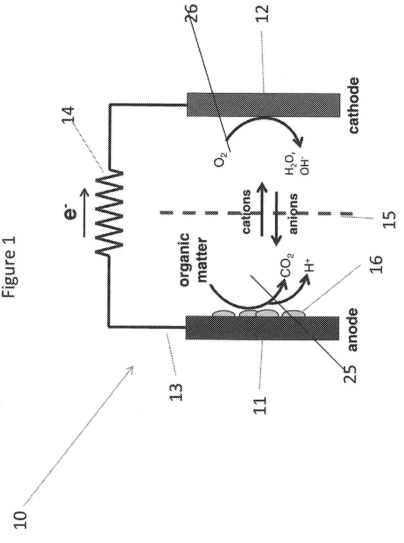 High efficiency microbial fuel cell