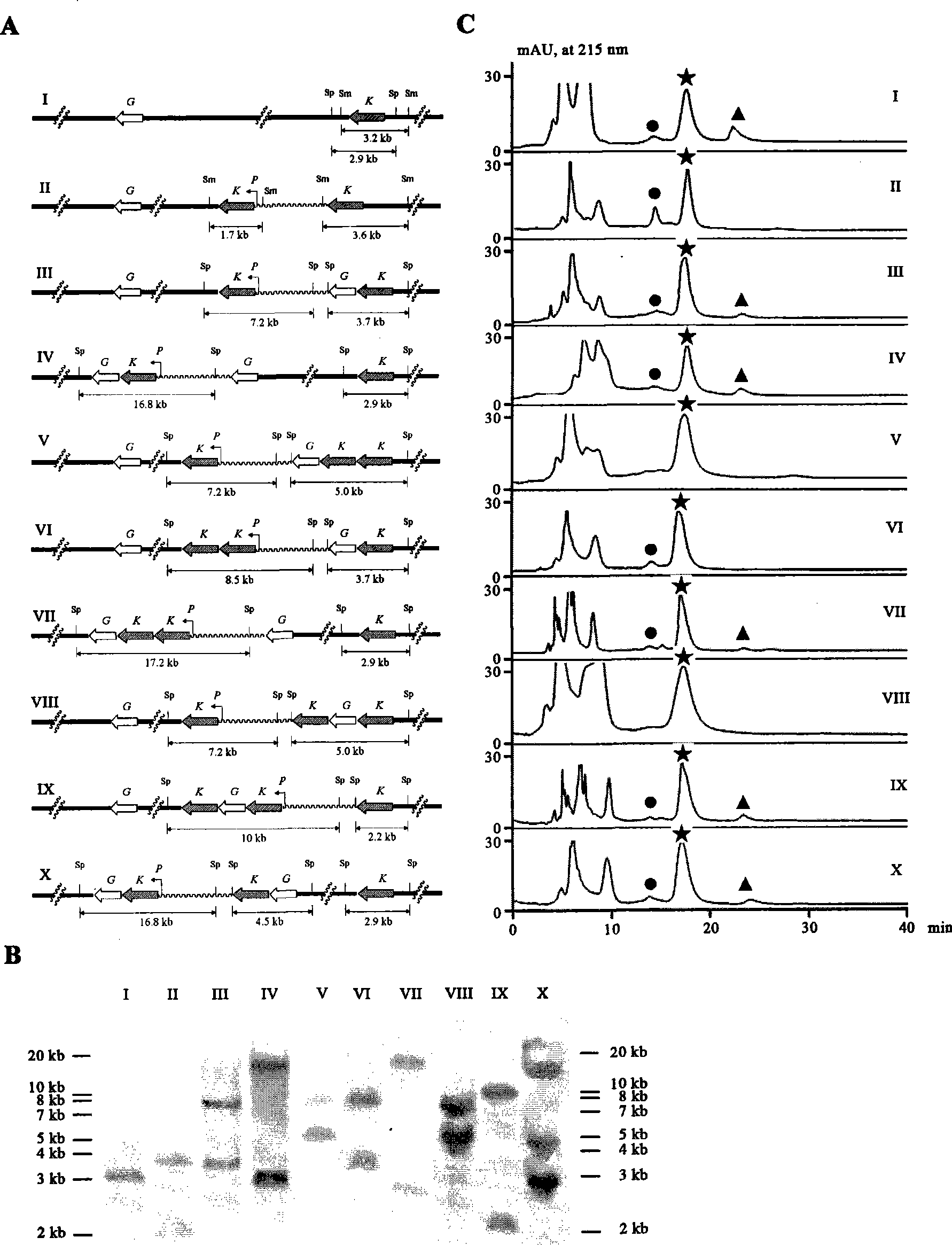 Bacterial for optimizing abomacetin fermentation component, construction method and use