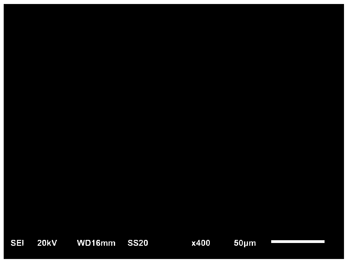 Casting method for preparing sphagnum sample for scanning electron microscope