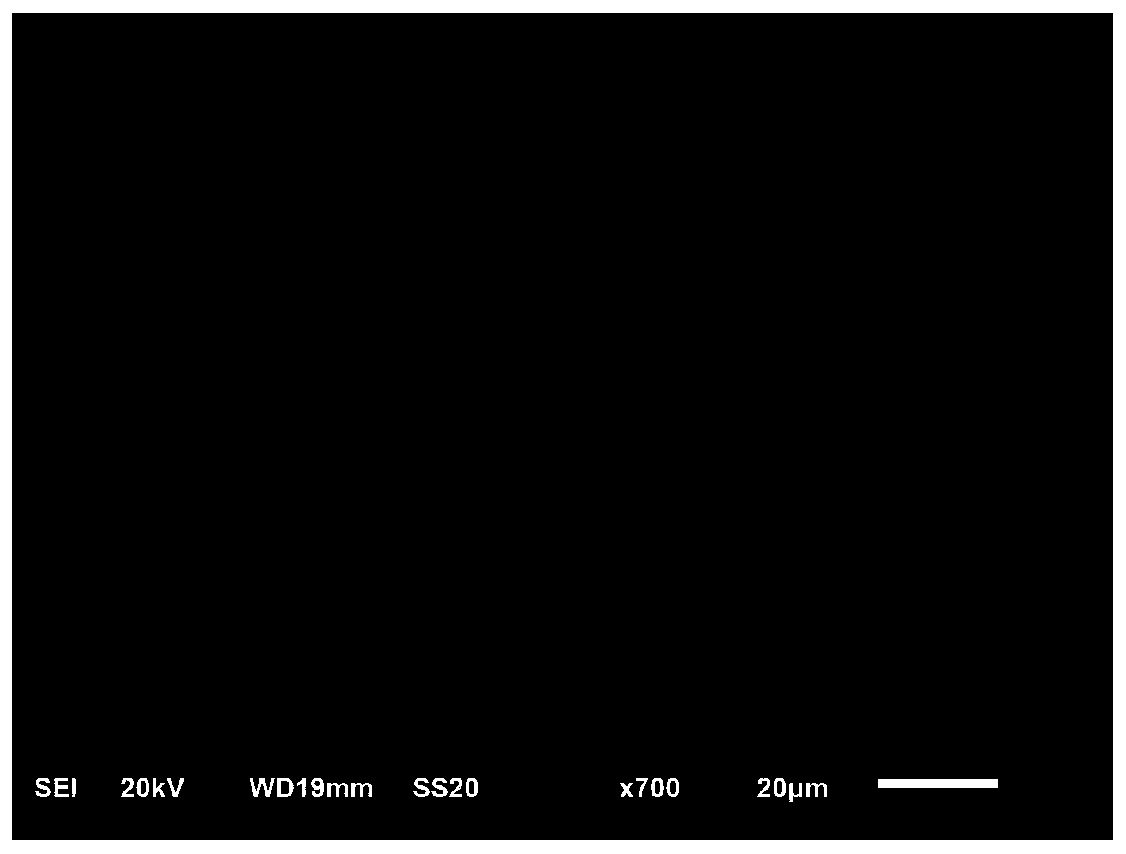 Casting method for preparing sphagnum sample for scanning electron microscope