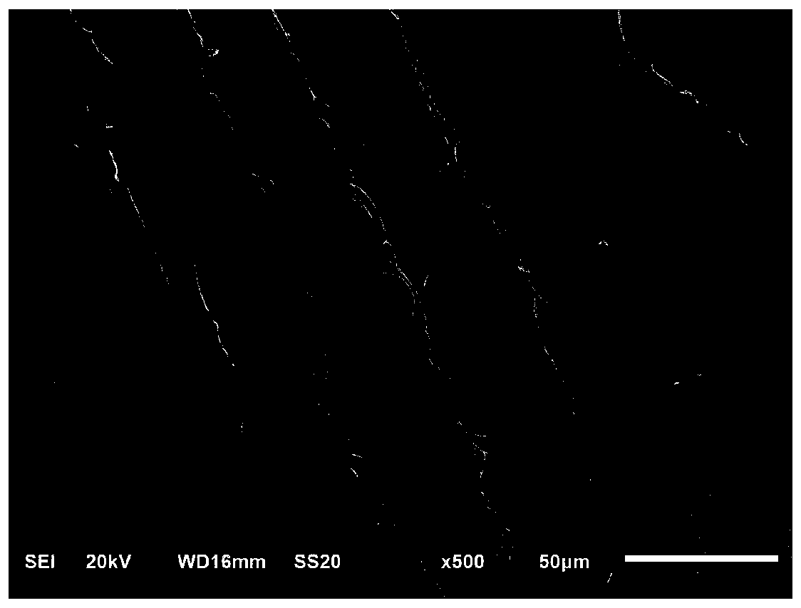 Casting method for preparing sphagnum sample for scanning electron microscope