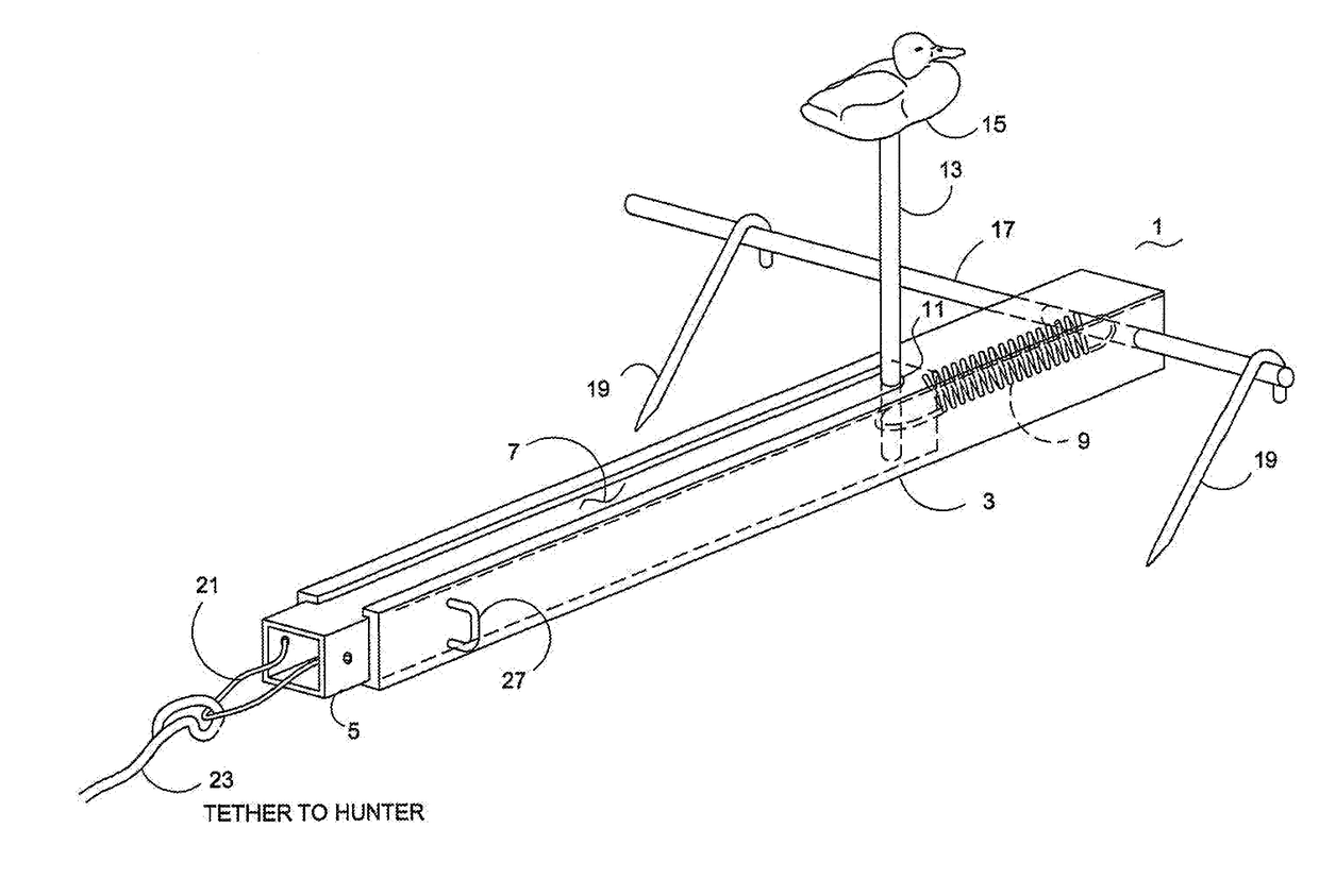 Hunting Decoy Apparatus for Luring Wild Game