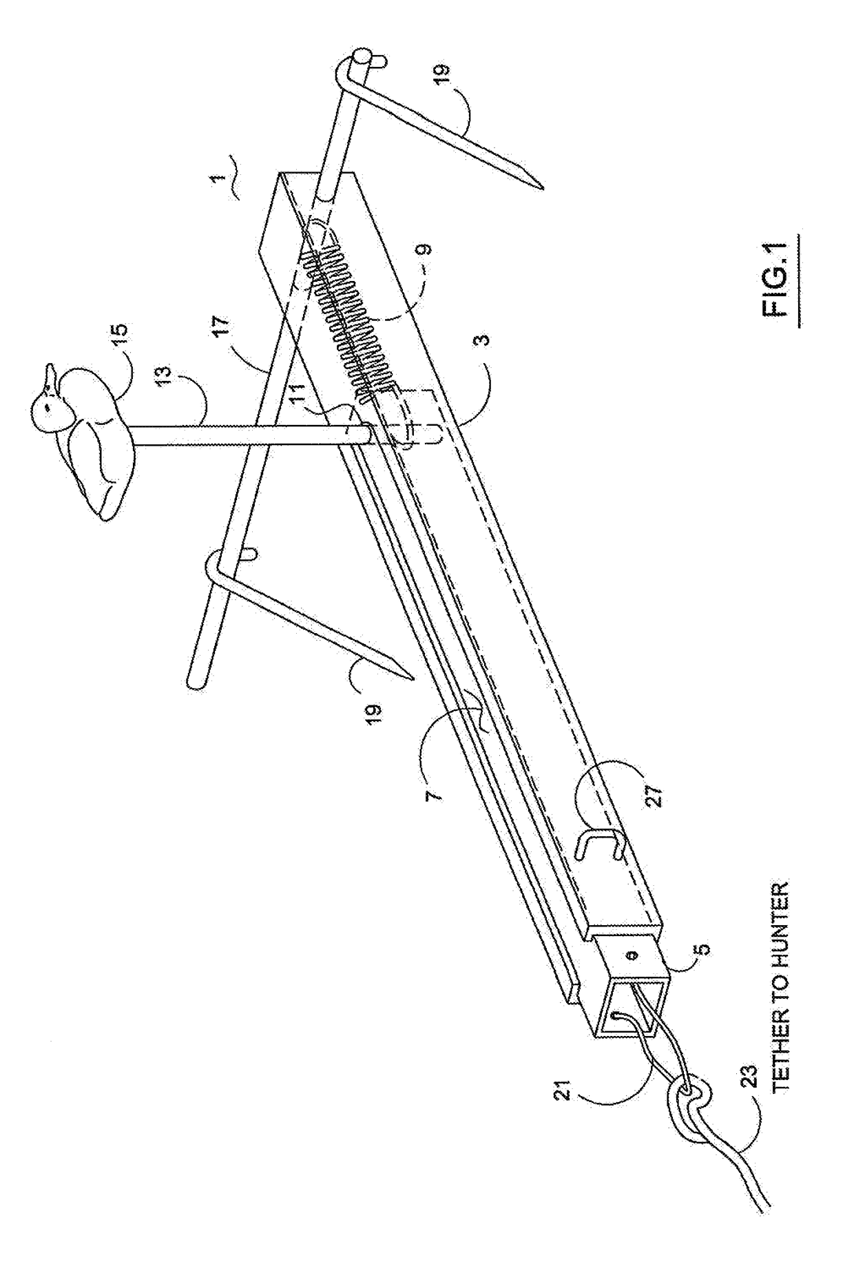 Hunting Decoy Apparatus for Luring Wild Game