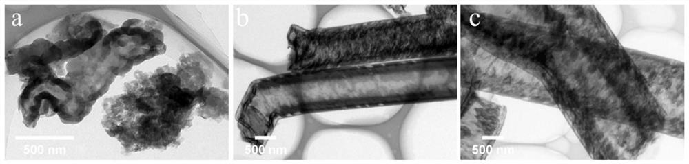 Exfoliated tubular carbon nitride photocatalyst and preparation method and application thereof