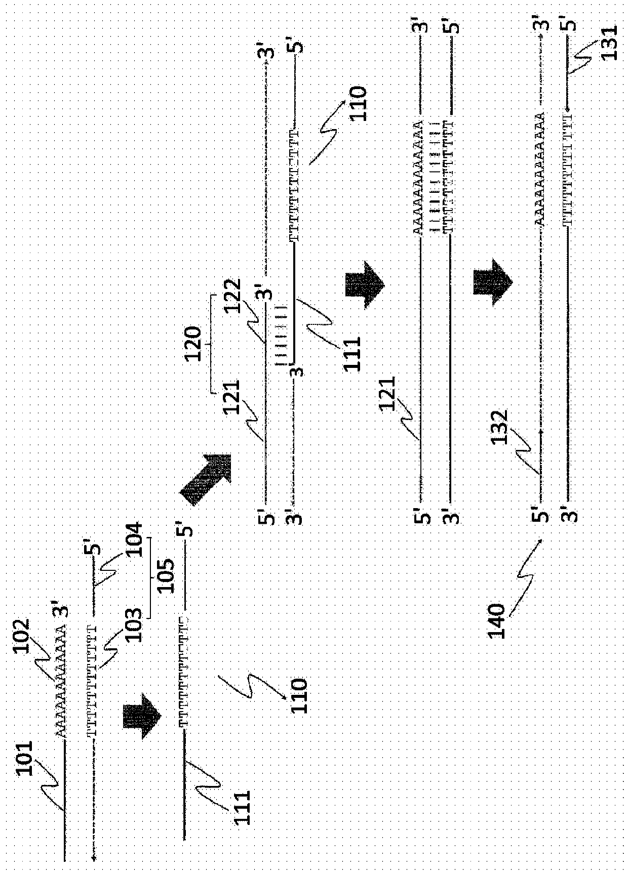 RNA detecting kit and method