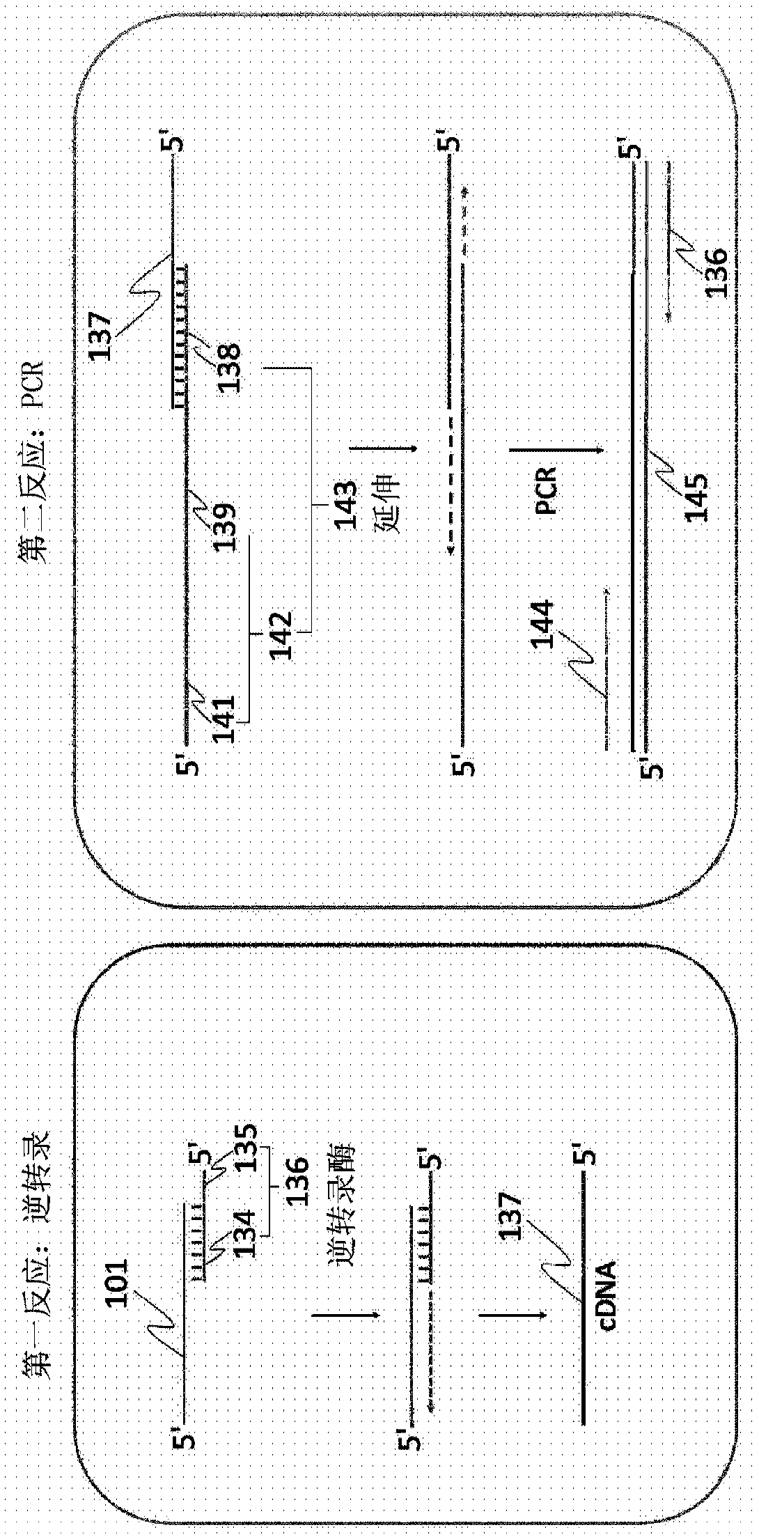 RNA detecting kit and method