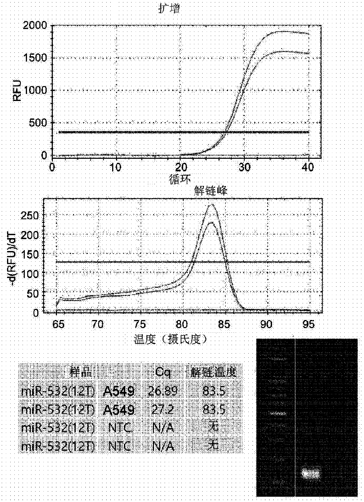 RNA detecting kit and method