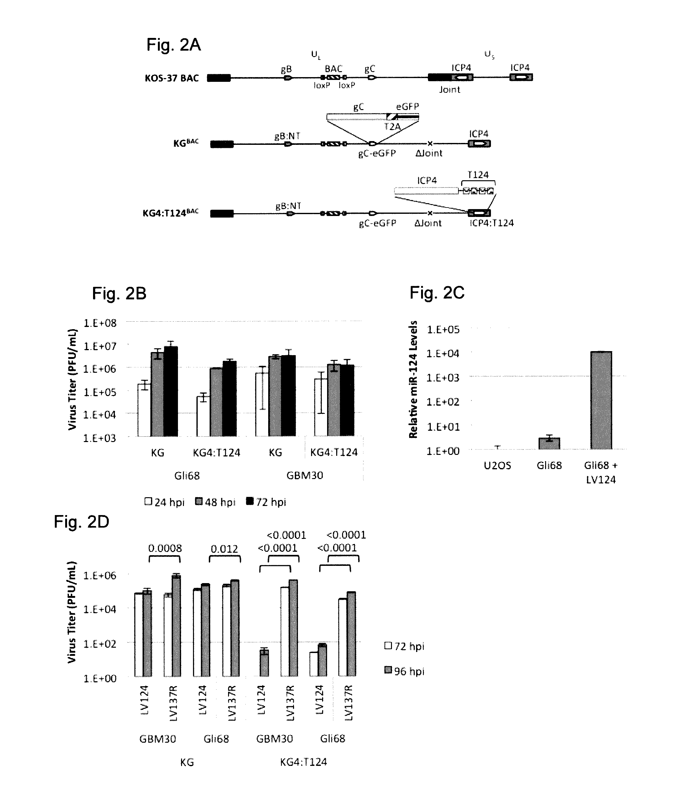 Oncolytic hsv vector