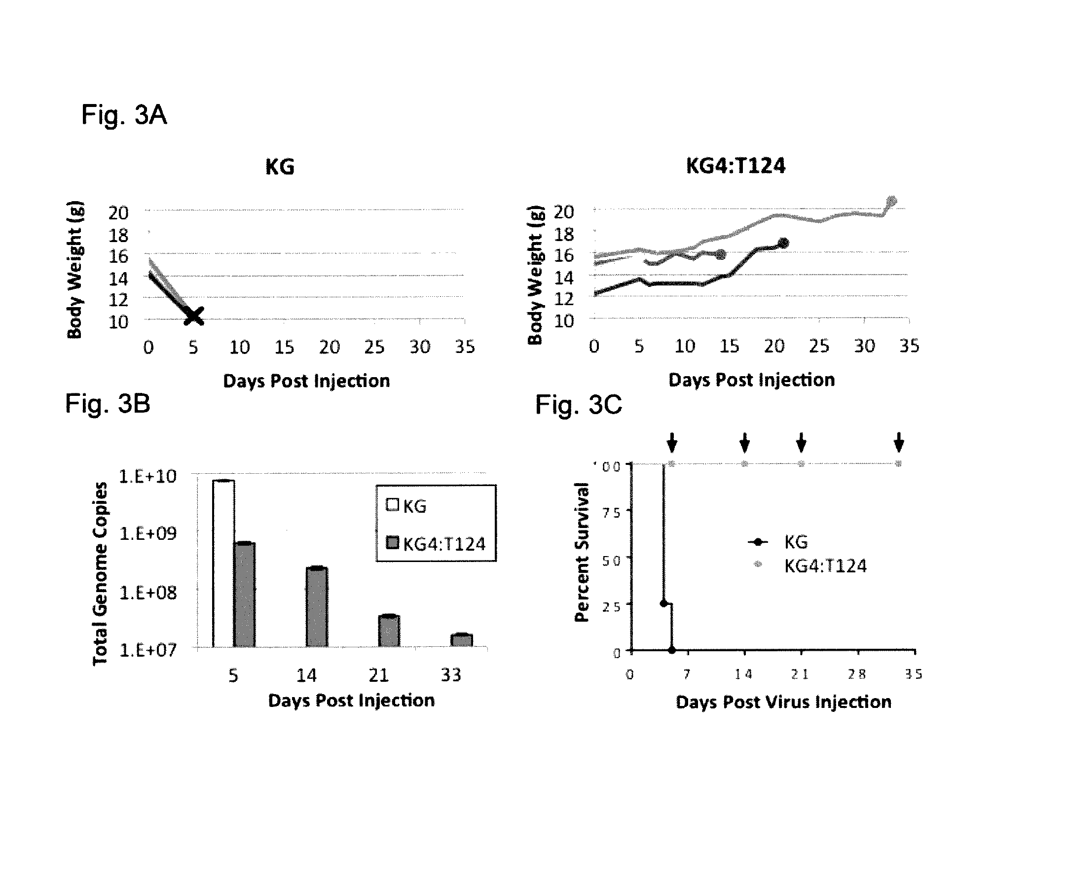 Oncolytic hsv vector