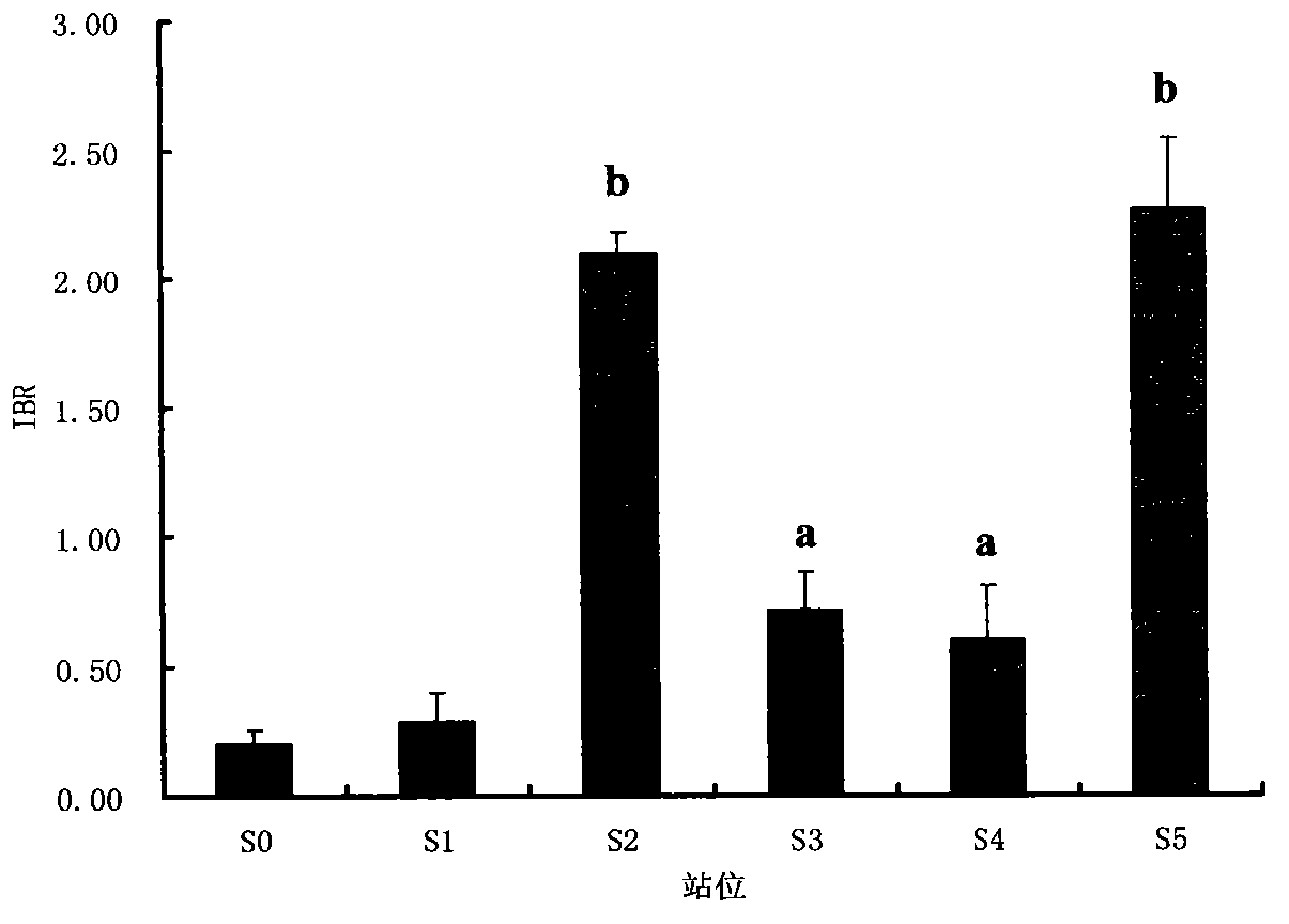 Shellfish monitoring method for ocean oil spill pollution base on integration biomarker method