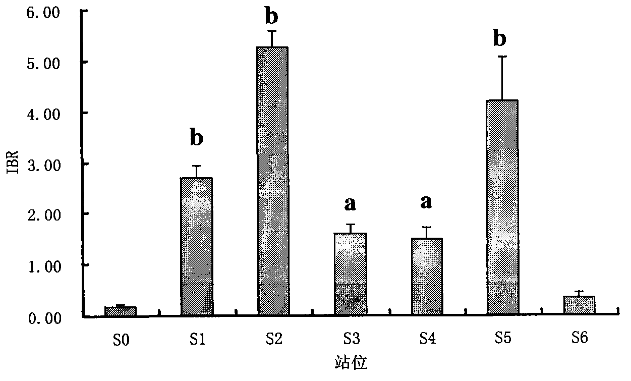 Shellfish monitoring method for ocean oil spill pollution base on integration biomarker method