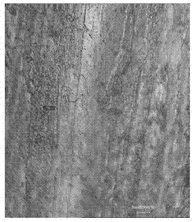 A heat treatment method for positive electrode lead belt or grid