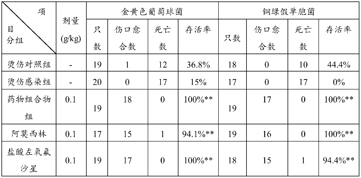 A kind of antibacterial infection pharmaceutical composition and application thereof