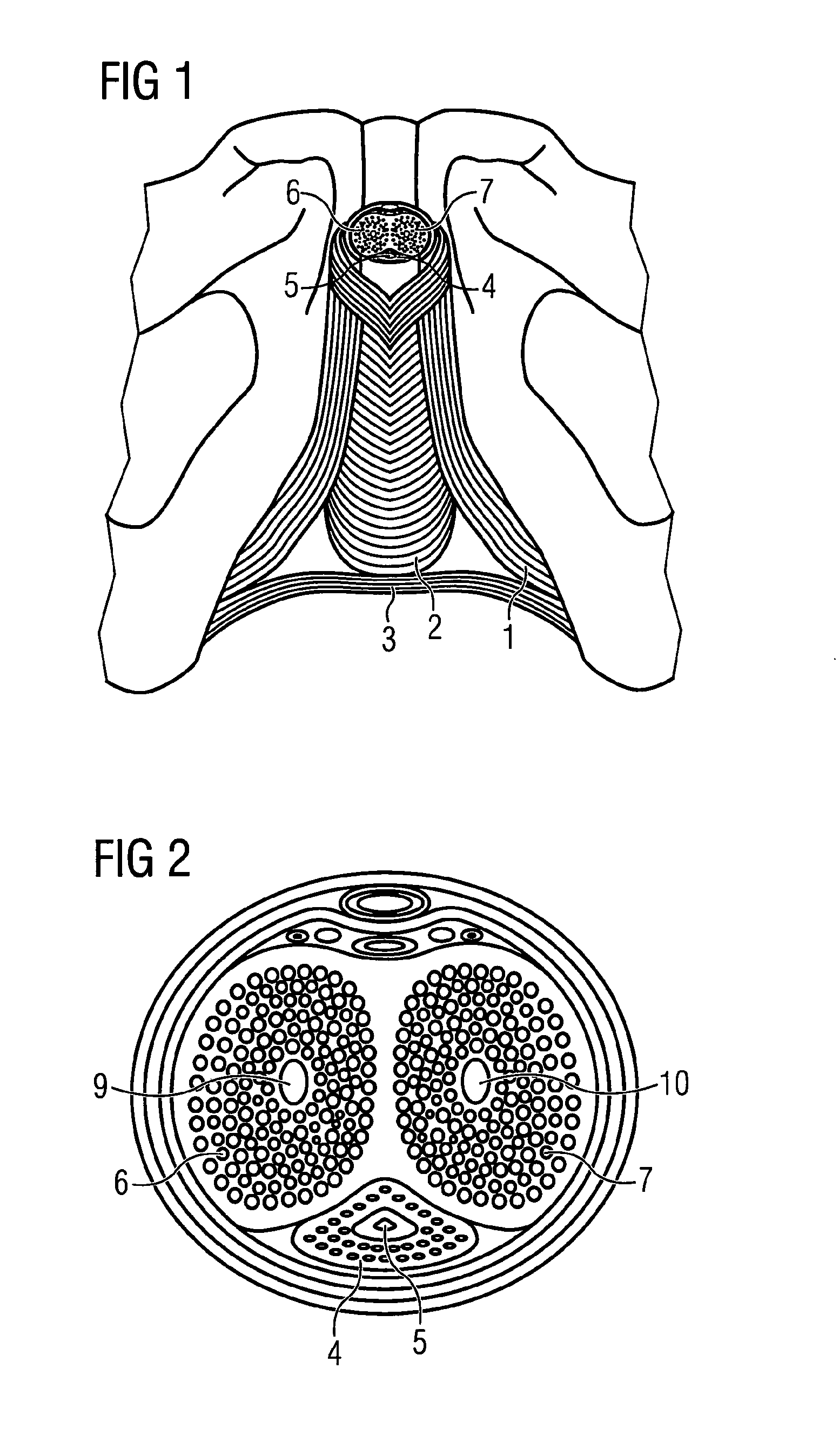 Stimulation of penis erection