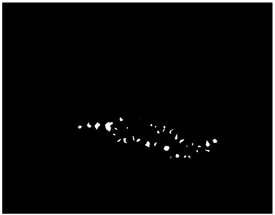 Gliding-arc plasma organism treating device in combination with catalysts