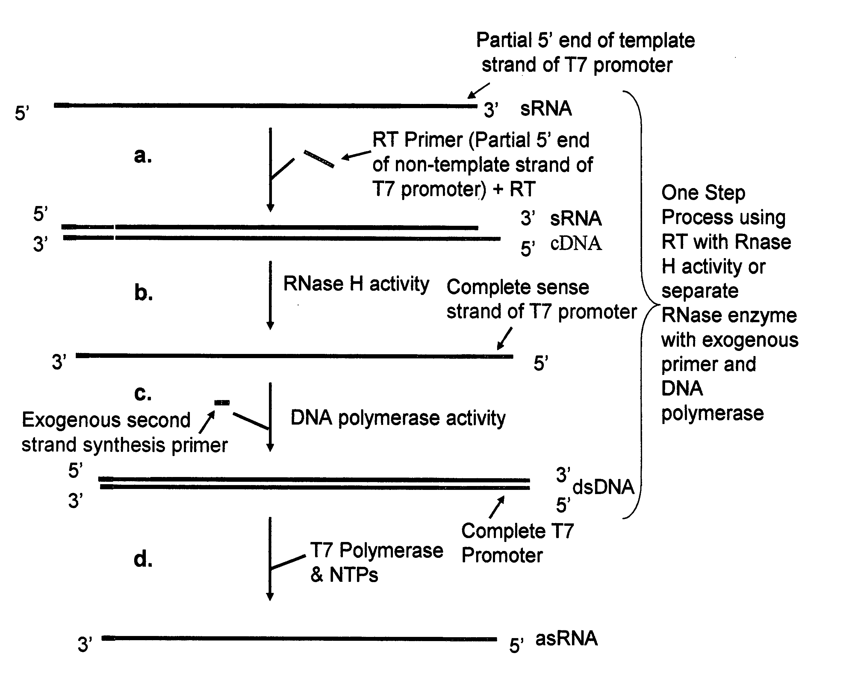 Methods and kits for nucleic acid amplification